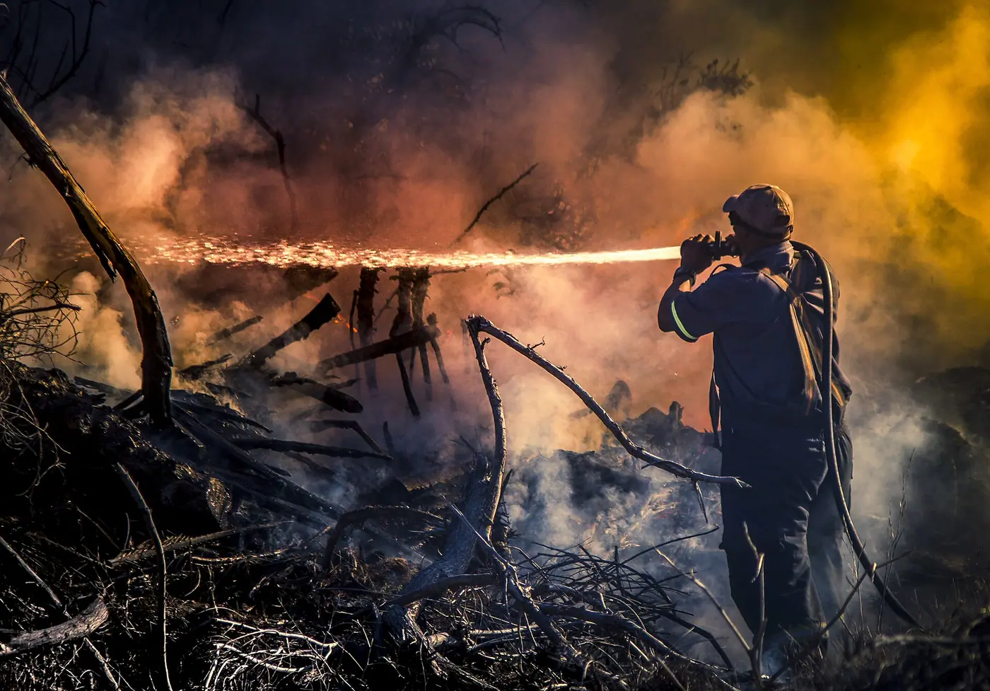 Wildfire Relief — real photography representing this cause