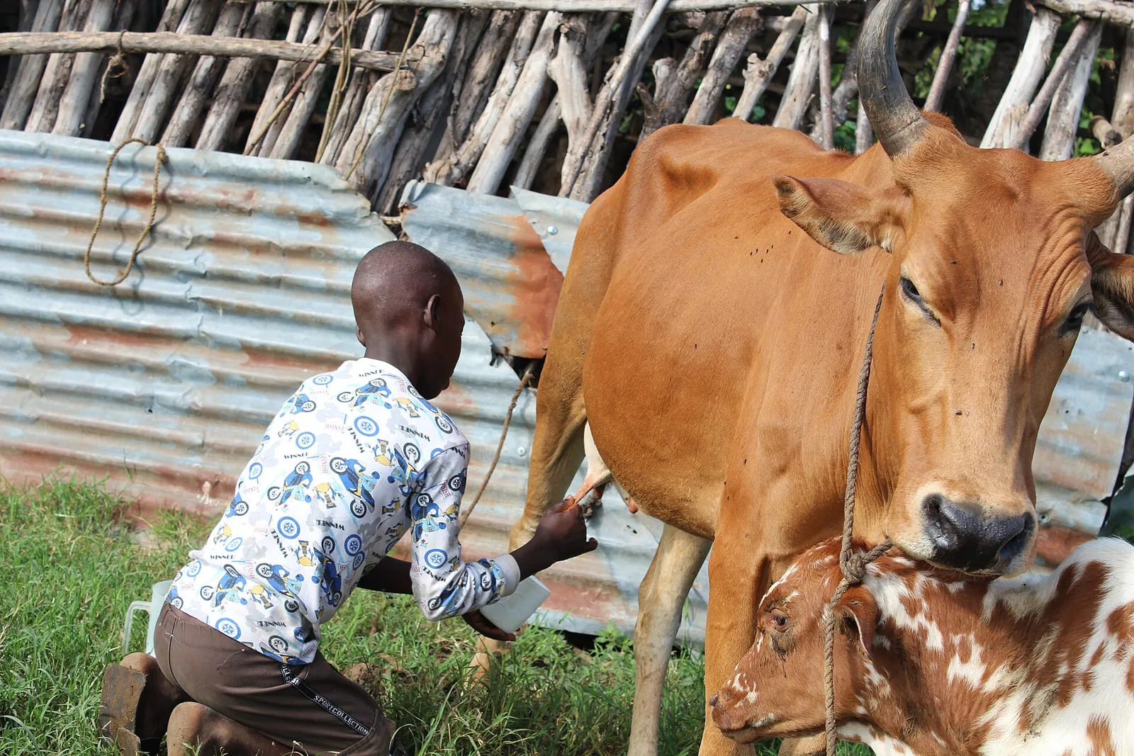 Homes and farmland in Sakwa village, Kenya