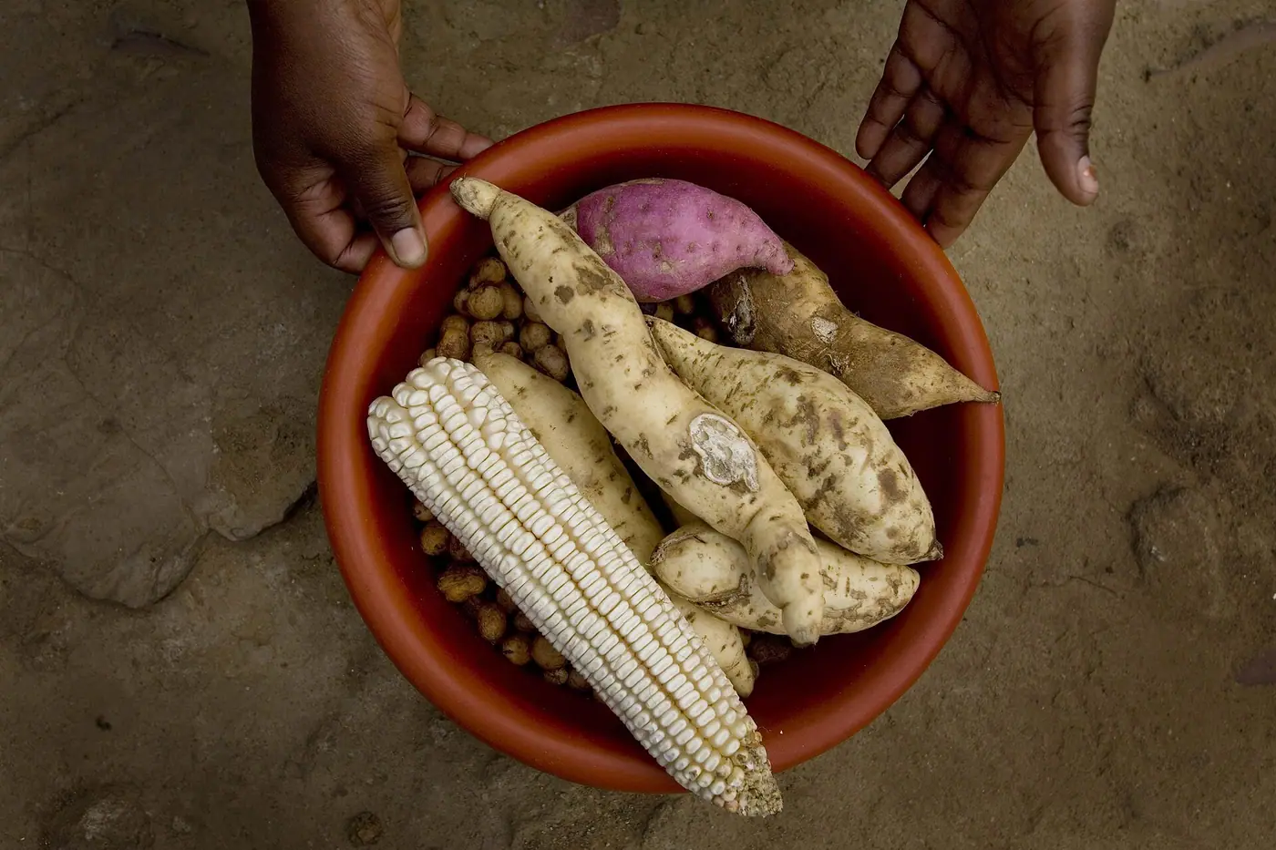 Food Security — real photography representing this cause